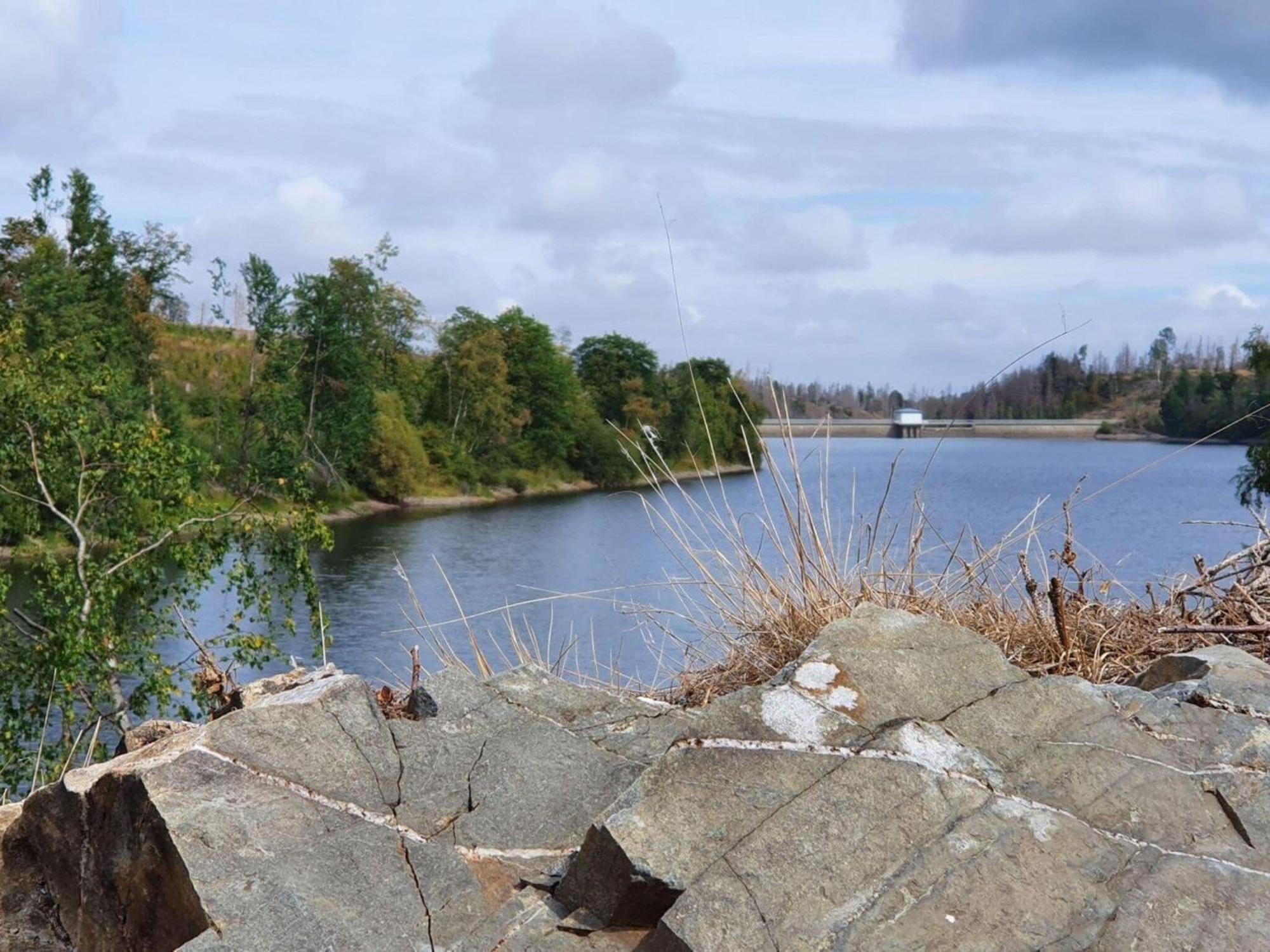 Apartment In Elbingerode Near Lake Eksteriør billede